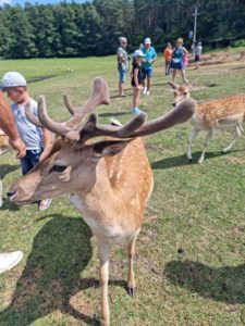 Atrakcje na Mazurach - wynajem domku w lesie na Mazurach