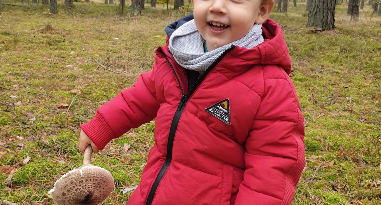 wynajem domku w lesie na Mazurach