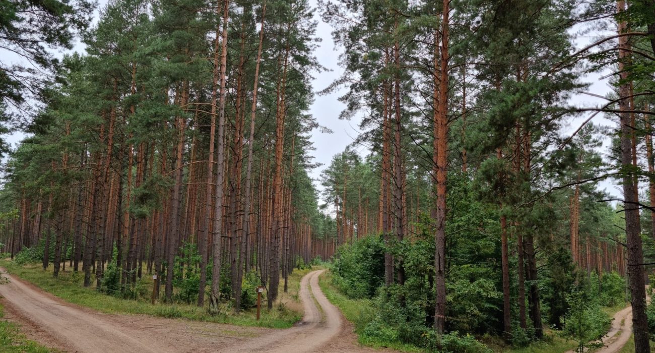 wynajem domku na Mazurach